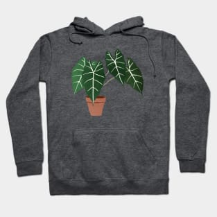 alocasia amazonica interior plant Hoodie